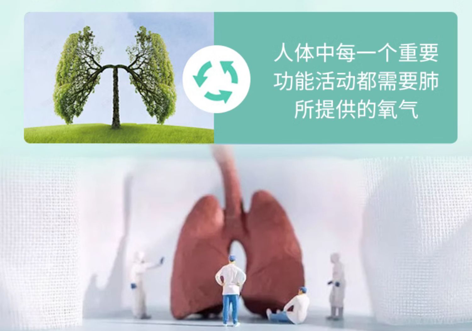 20240129115942340724.jpg 6.jpg